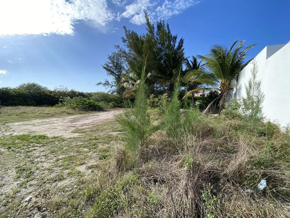 O&M Real Estate Consulting | HM Action Now Group — foto 5