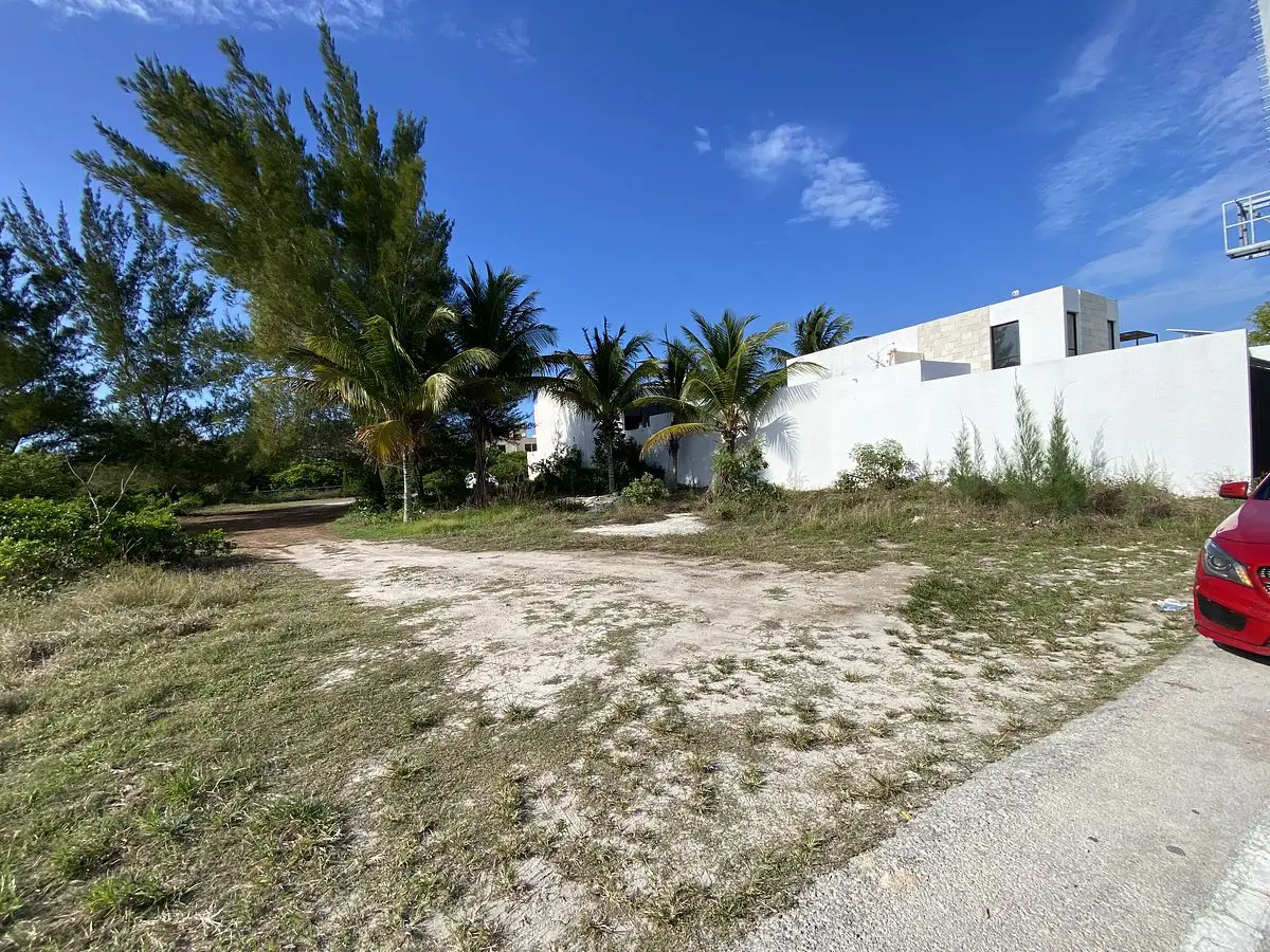 O&M Real Estate Consulting | HM Action Now Group — foto 6