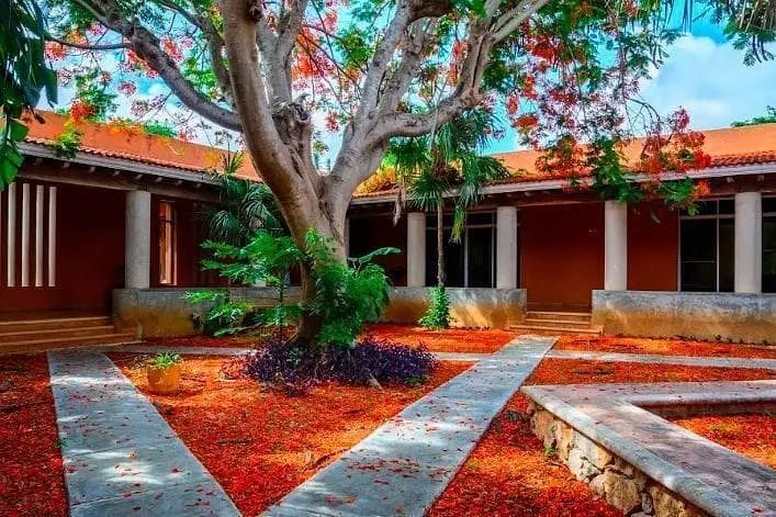 O&M Real Estate Consulting | HM Action Now Group — foto 4