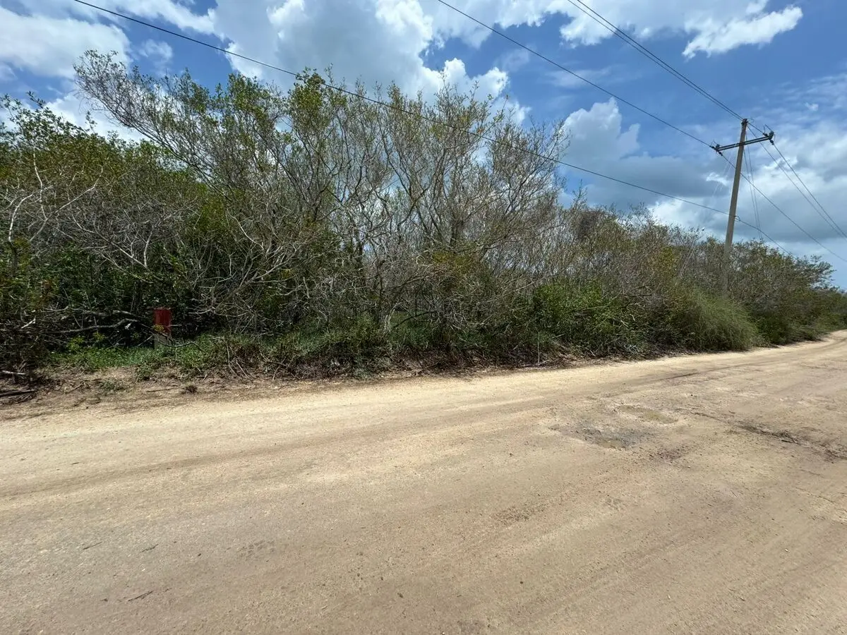 Terreno en Venta Frente al Mar Ubicado en Sisal
