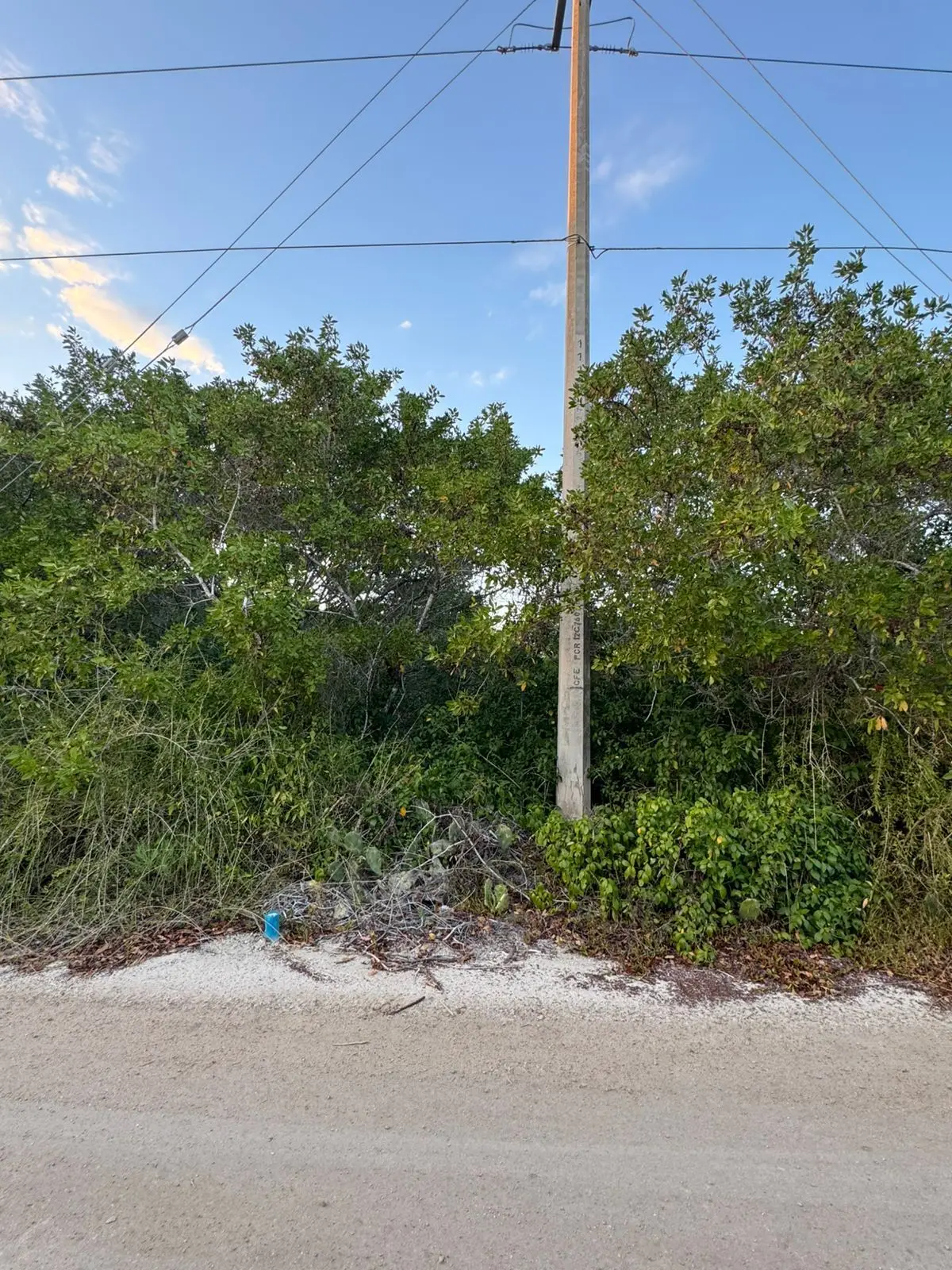 Terreno en Venta Frente al Mar Ubicado en Sisal — foto 2