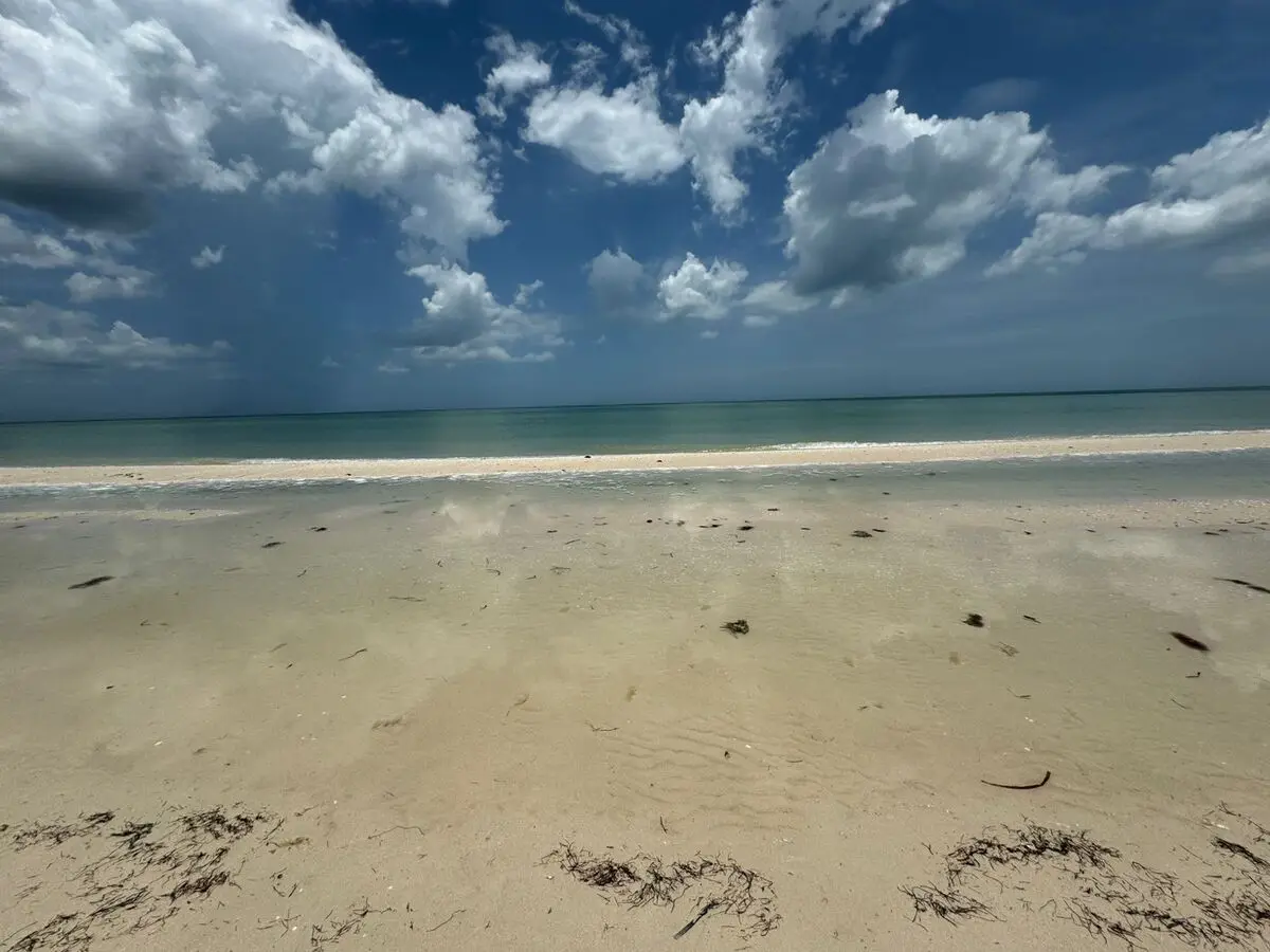 Terreno en Venta Frente al Mar Ubicado en Sisal — foto 4