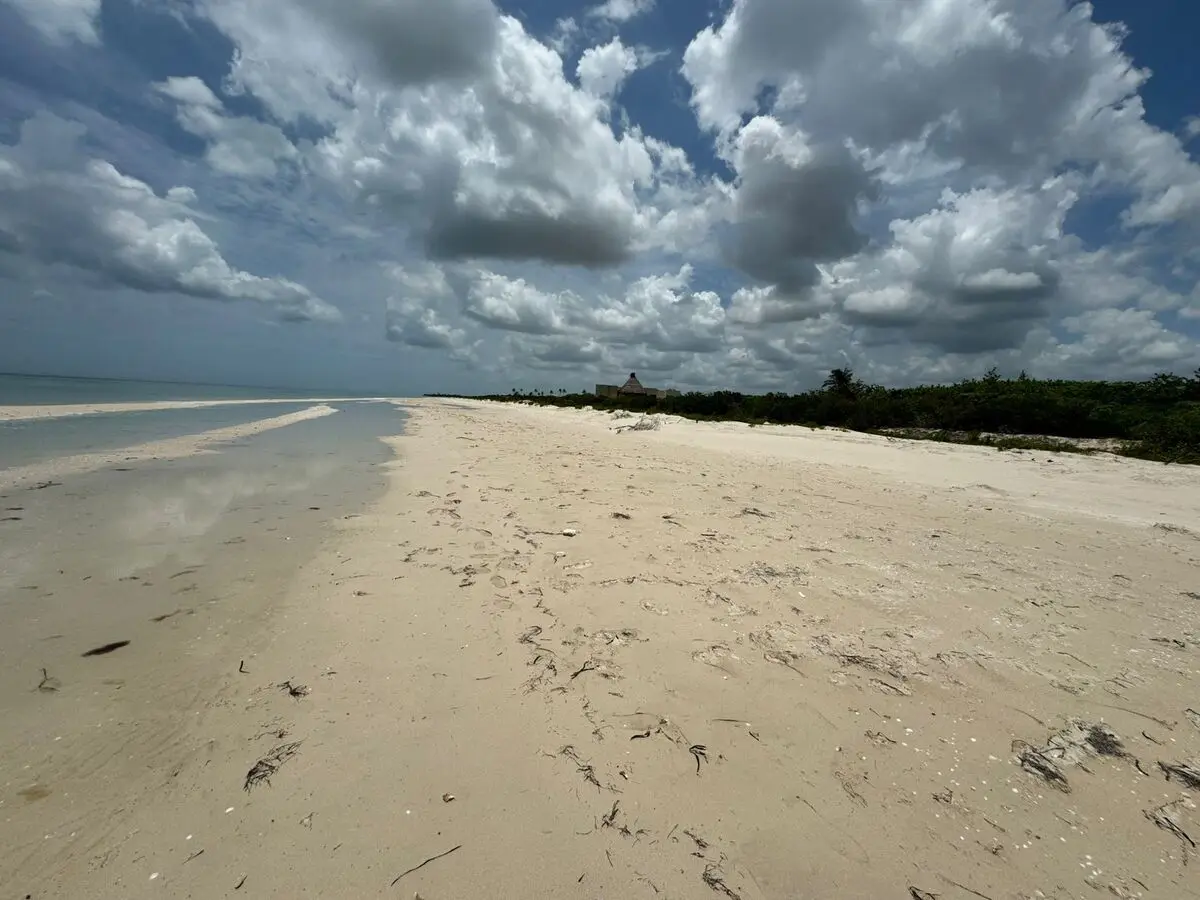 Terreno en Venta Frente al Mar Ubicado en Sisal — foto 5