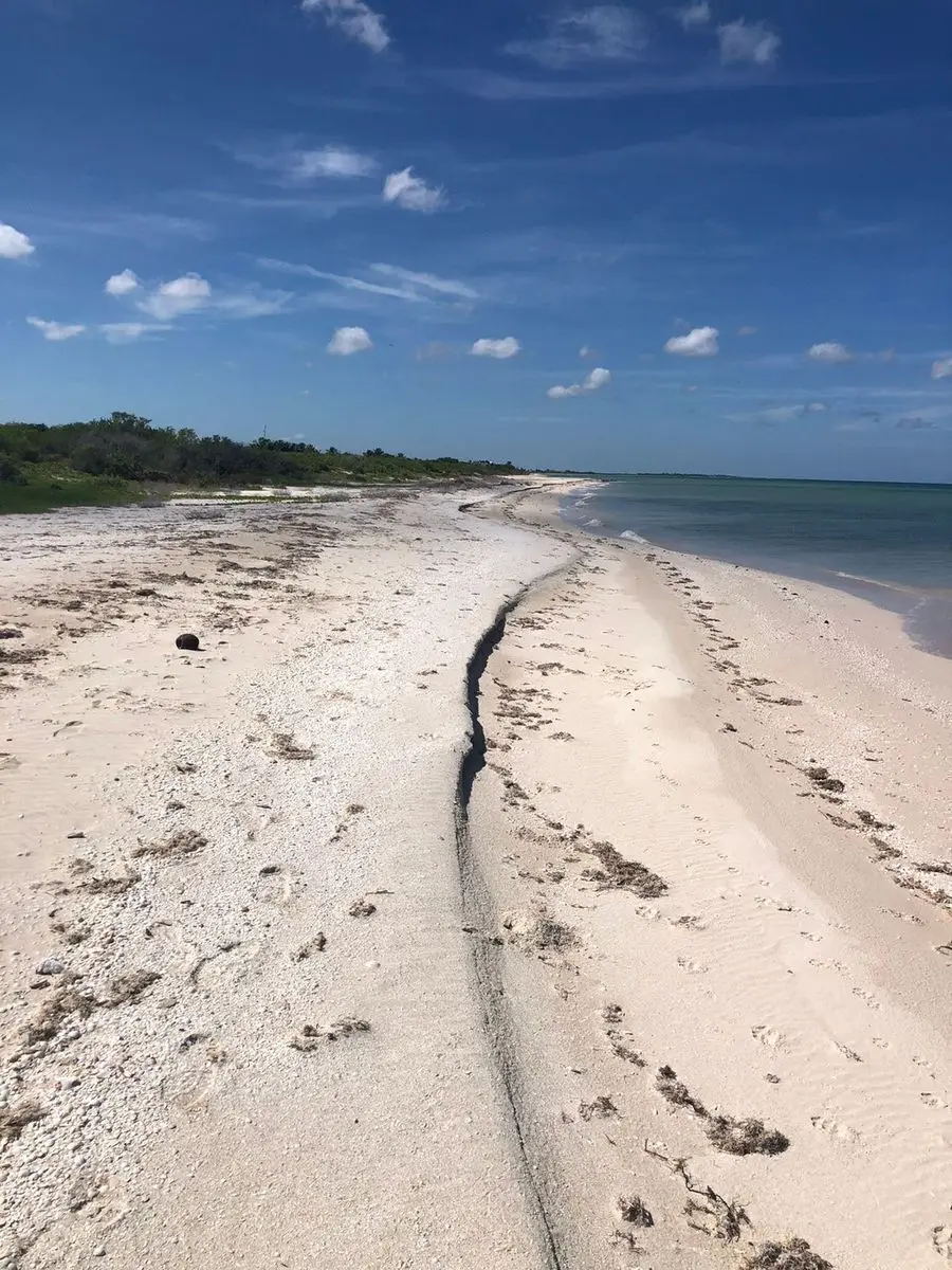 En Venta Terreno Ubicado en Sisal Frente al Mar — foto 3