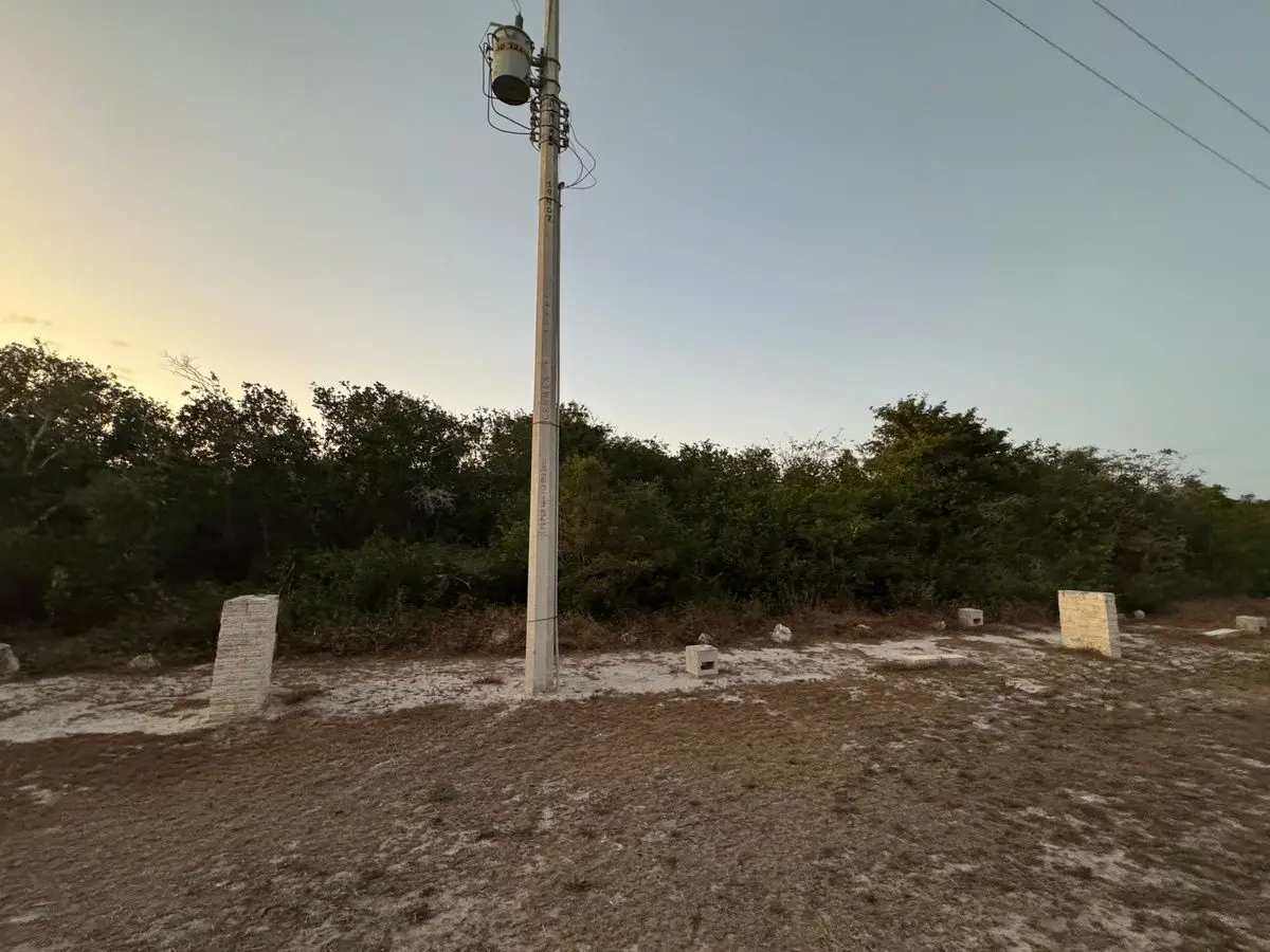 En Venta Terreno Ubicado en Sisal Frente al Mar — foto 5