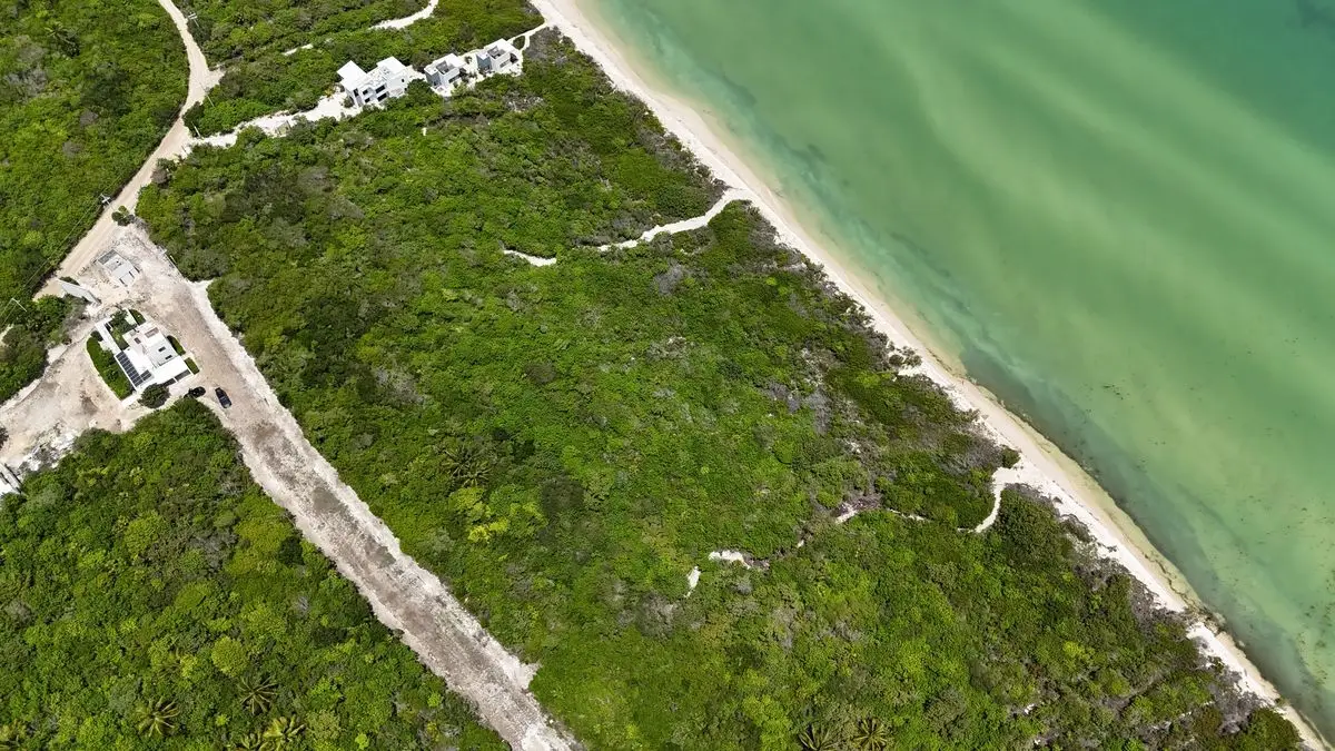 En Venta Terreno Ubicado en Sisal Frente al Mar — foto 6