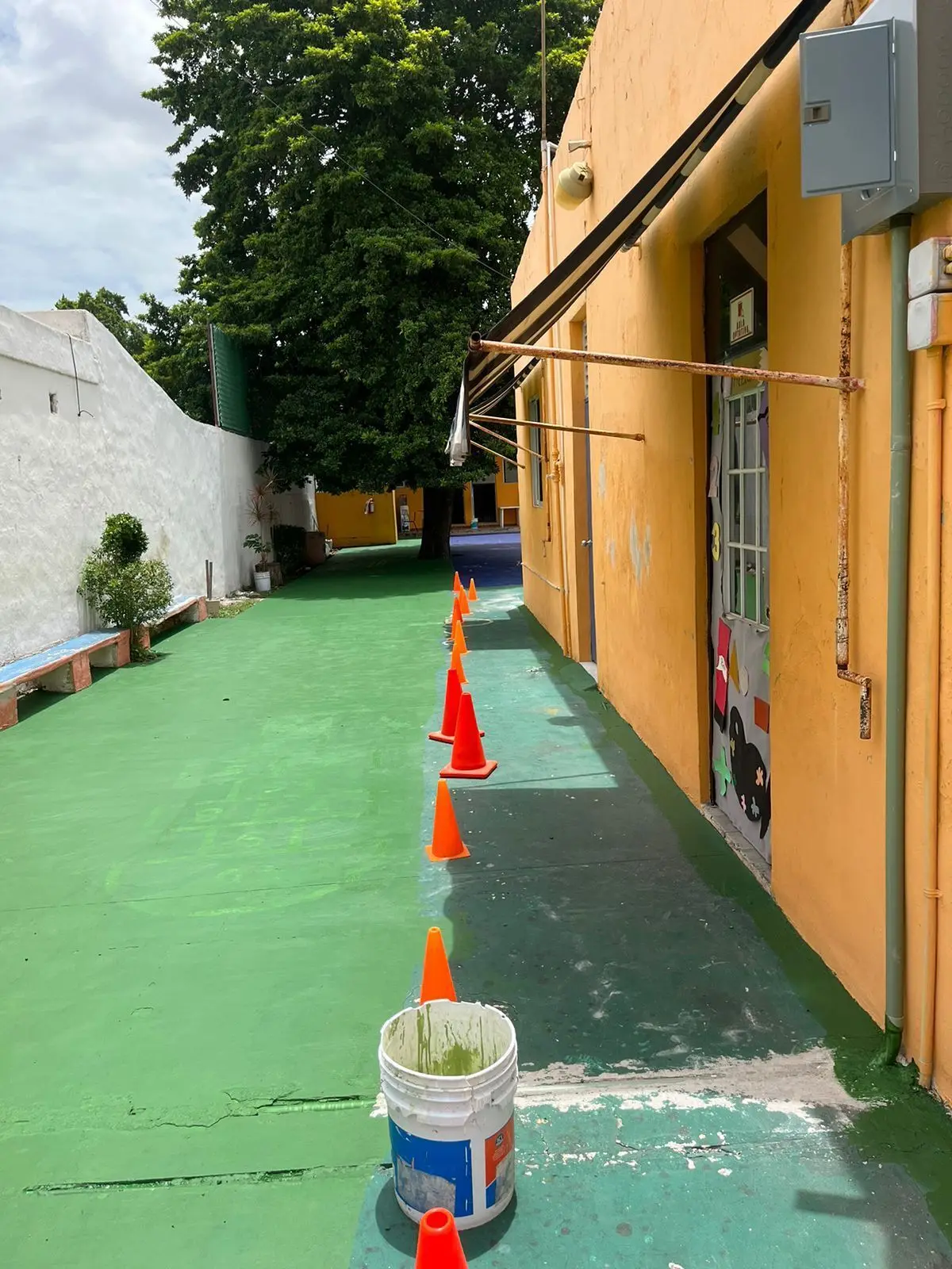 Propiedad Comercial en Venta en Colonia Esperanza — foto 5