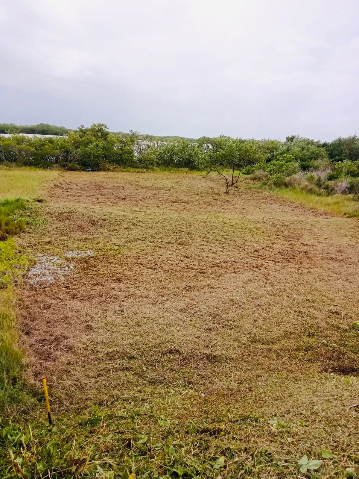 Terreno en Venta a Pie de Carretera a 150 Metros del Mar — foto 2