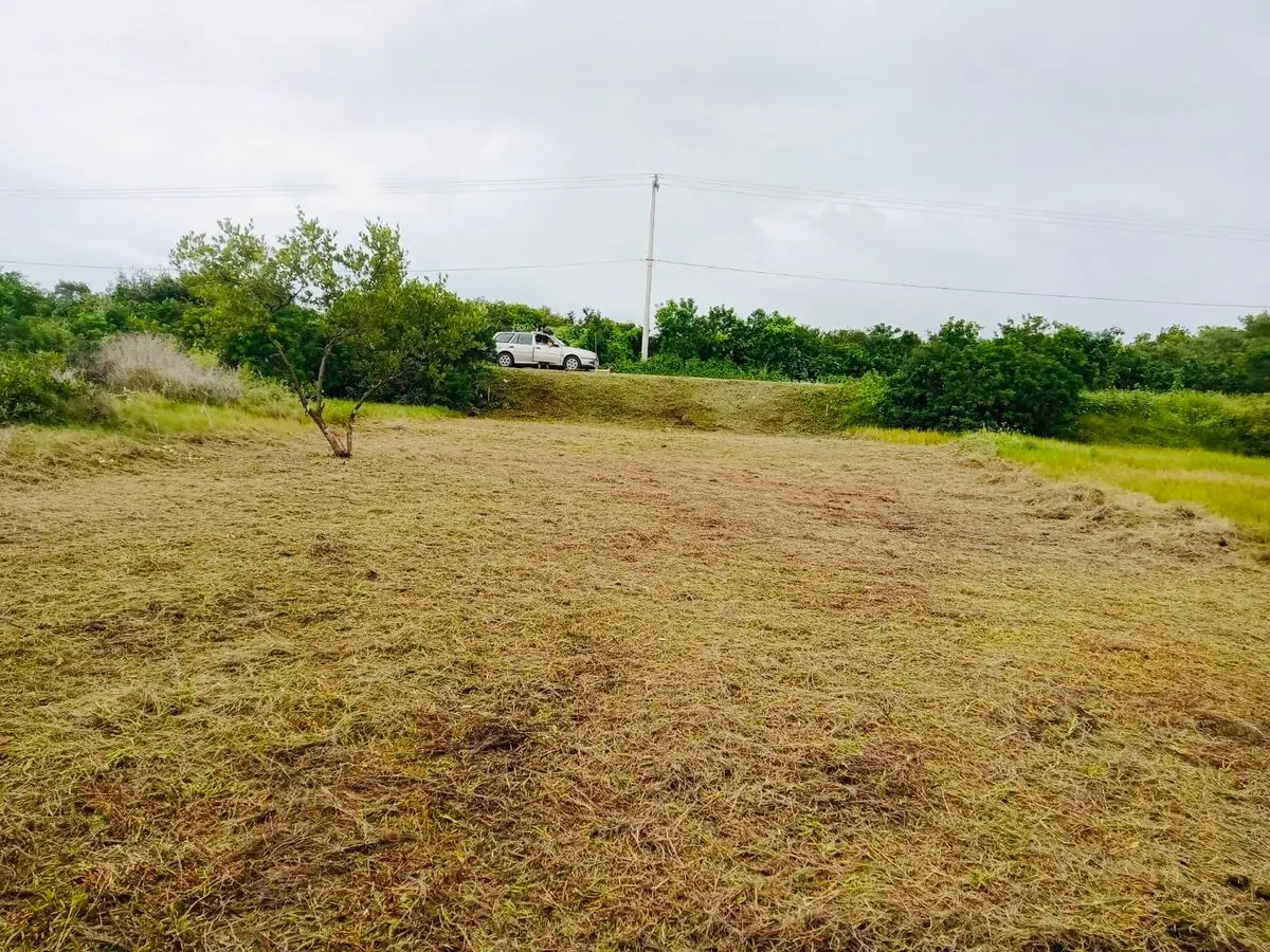 Terreno en Venta a Pie de Carretera a 150 Metros del Mar — foto 3