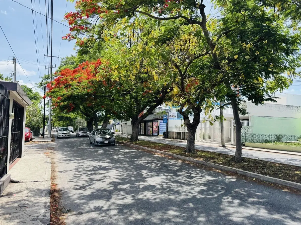 En Renta Departamento Amueblado Sobre Avenida en Mérida Norte — foto 2