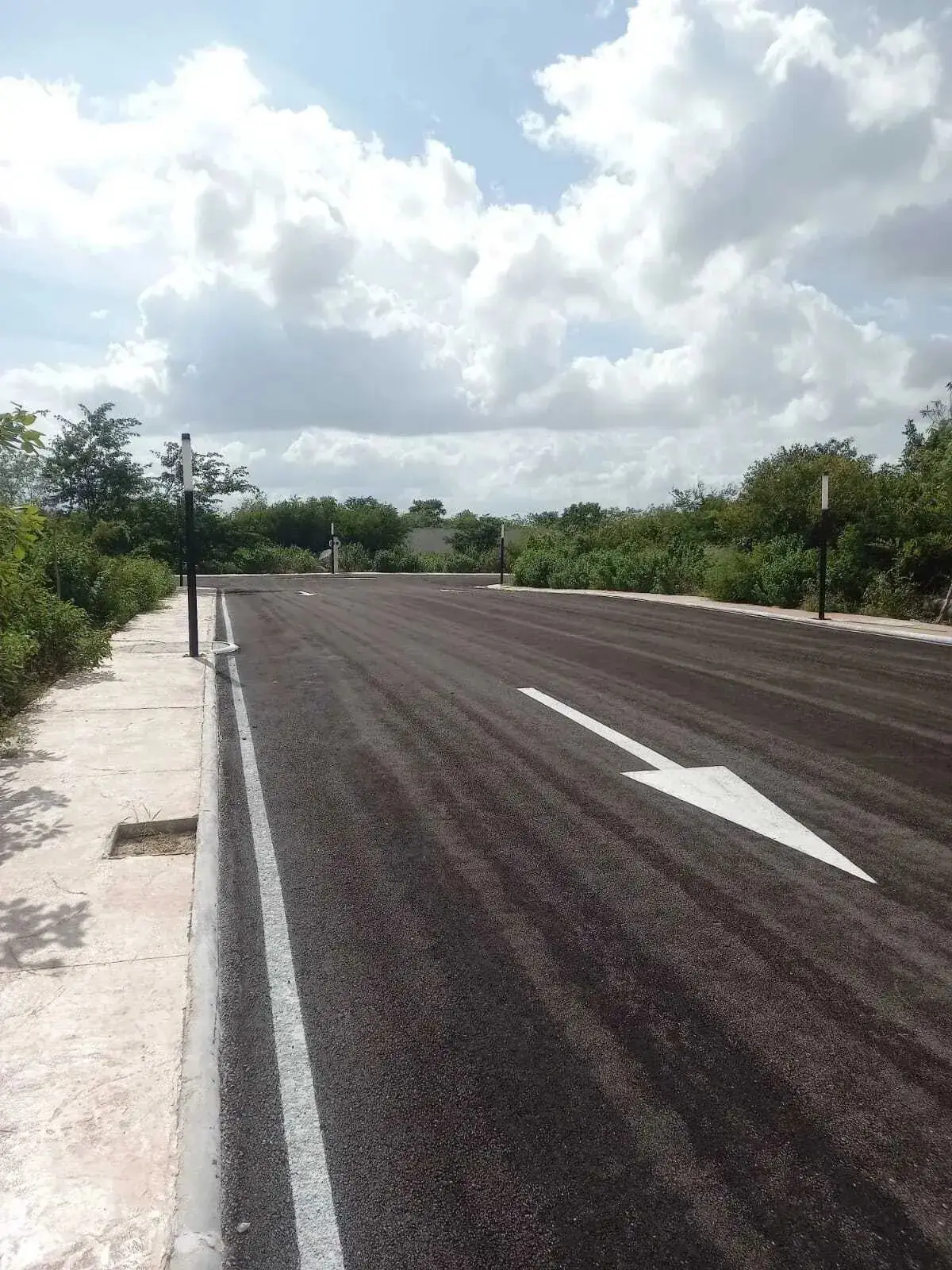 Terreno en Venta con Calles Pavimentadas en Cholul — foto 4