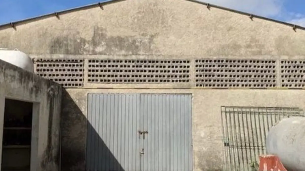 Renta Conjunto de 2 Bodegas + Patio de Maniobra - Ciudad Industrial - Aeropuerto — foto 4