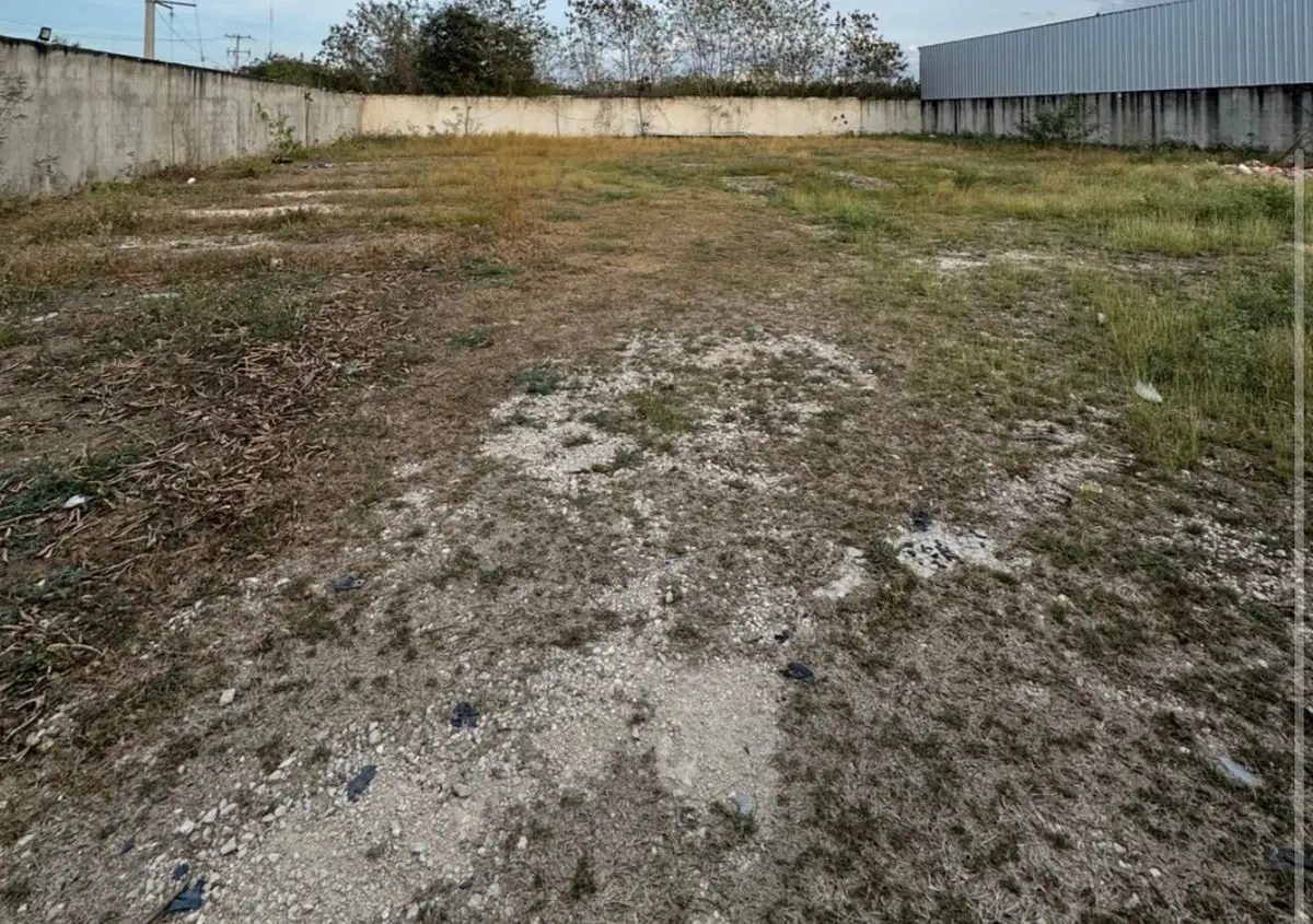En Renta Terreno Ubicado a Espaldas de la Agencia Amg y Volkswagen Norte — foto 2