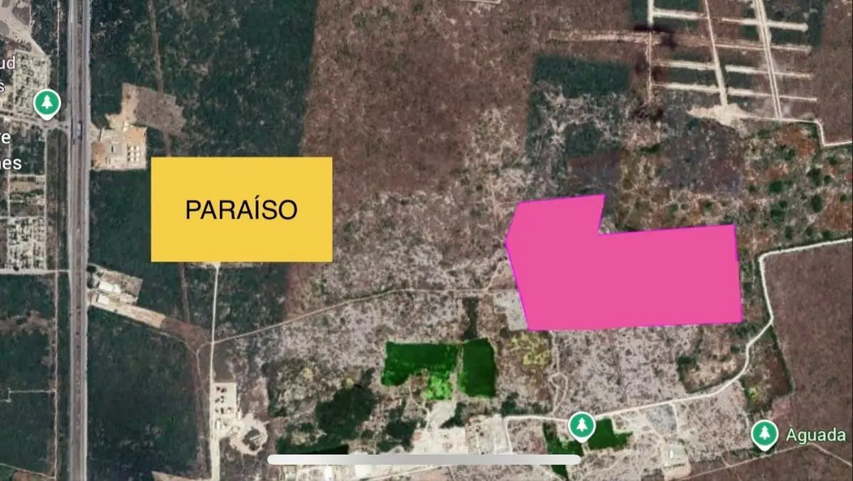 Terreno Industrial en Venta con Calme Blanca en Carretera Mérida - Progreso — foto 3