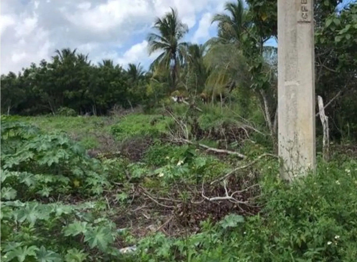 En Venta Lote en 3ra Fila de la Playa en Telchac Puerto — foto 6