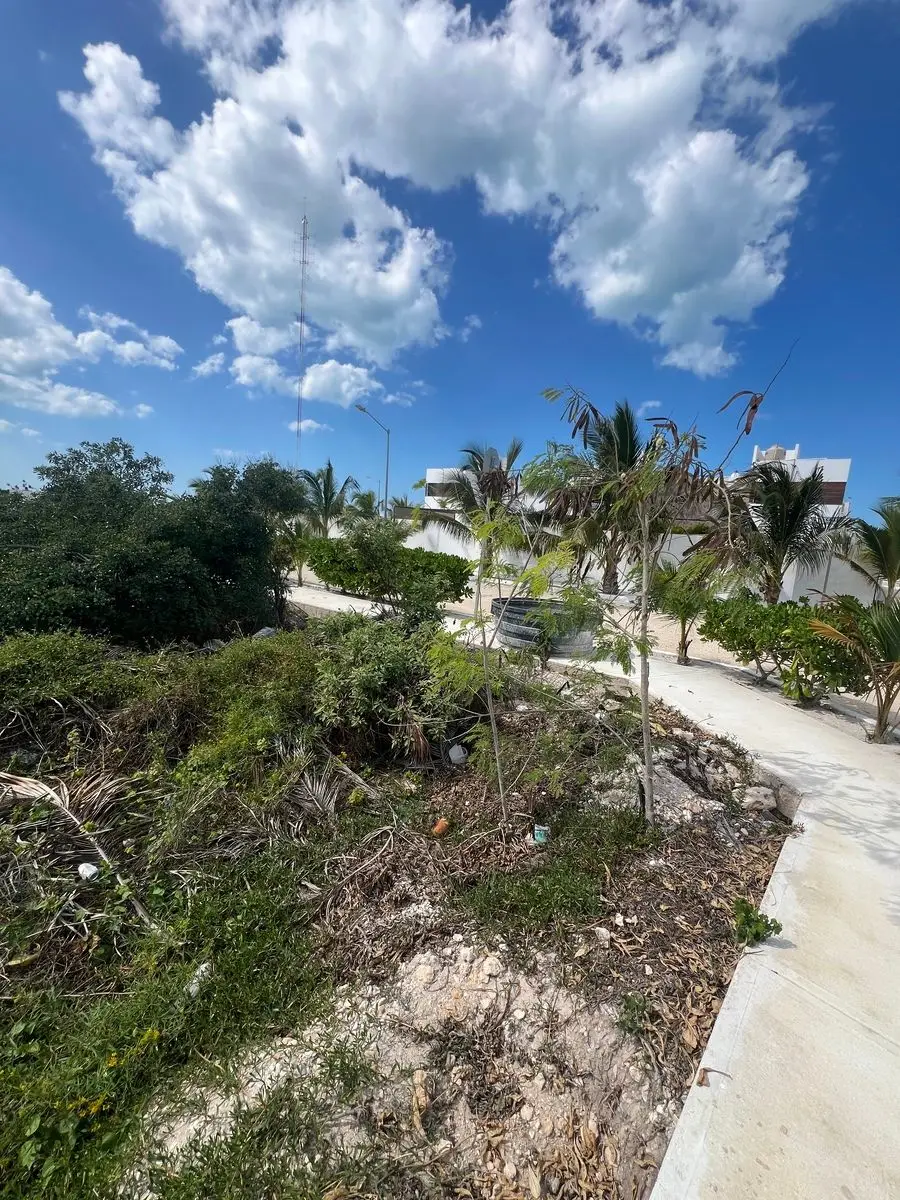 Terreno en Venta con Electricidad a Pie de Lote en Puerta Azul, Chelem — foto 3