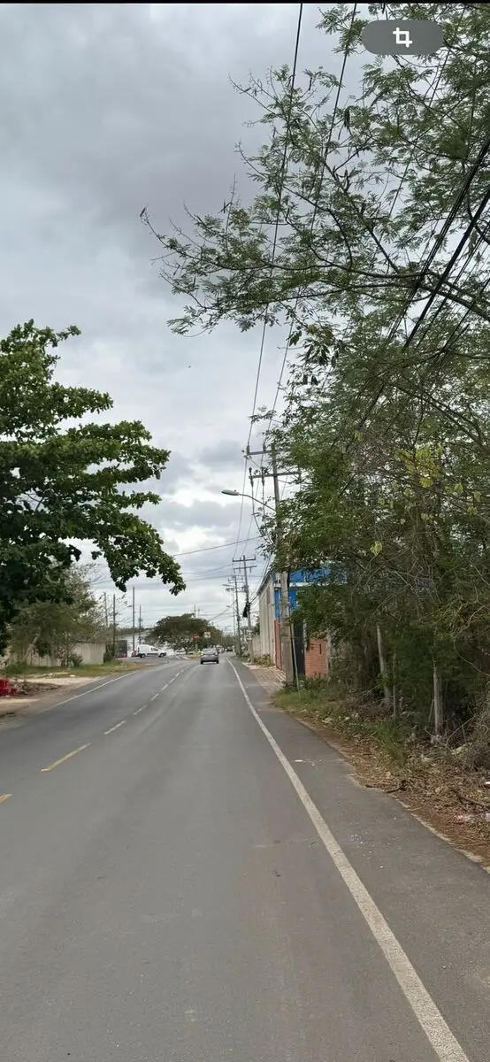Terreno en Venta para Desarrollar a 100 Metros de Periférico Norte de Cholul — foto 4