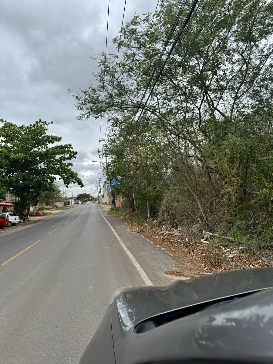 Terreno en Venta para Desarrollar a 100 Metros de Periférico Norte de Cholul — foto 5
