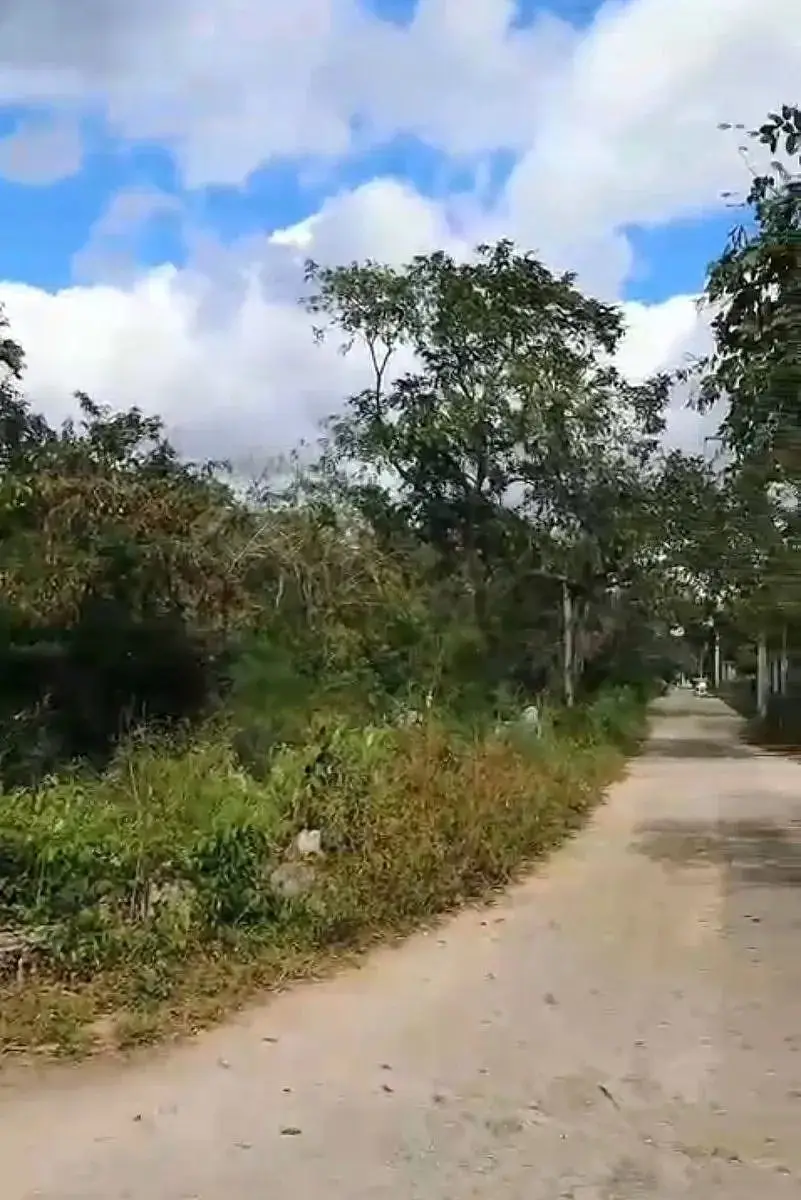 Terrenos en Venta en Nolo (Tixkokob) Yucatán — foto 2