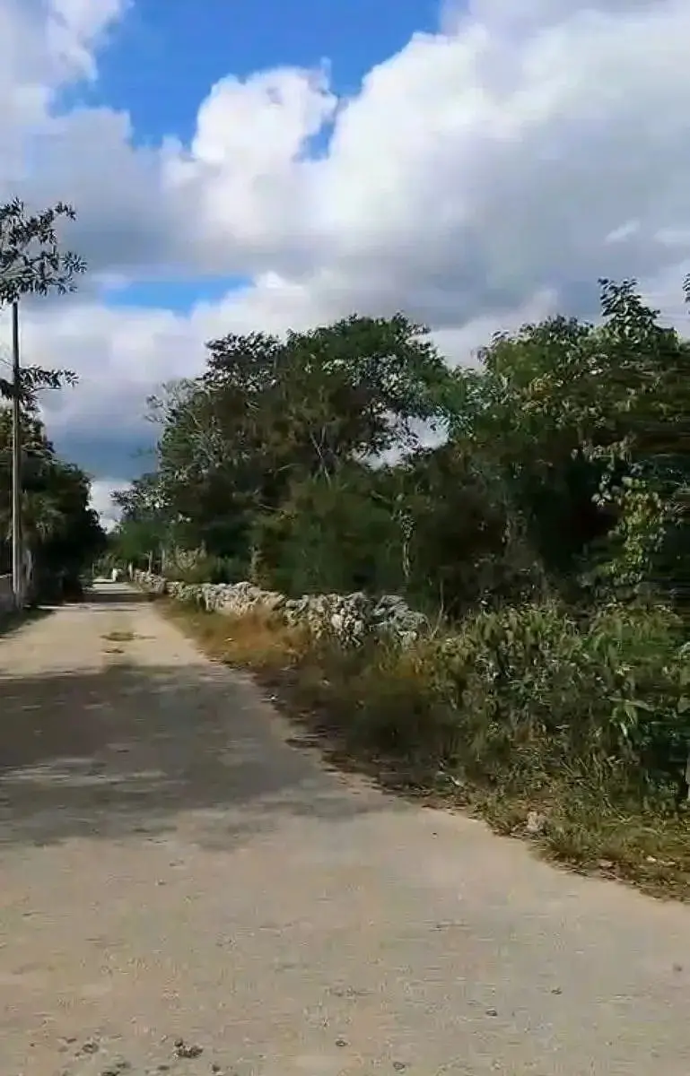 Terrenos en Venta en Nolo (Tixkokob) Yucatán — foto 3