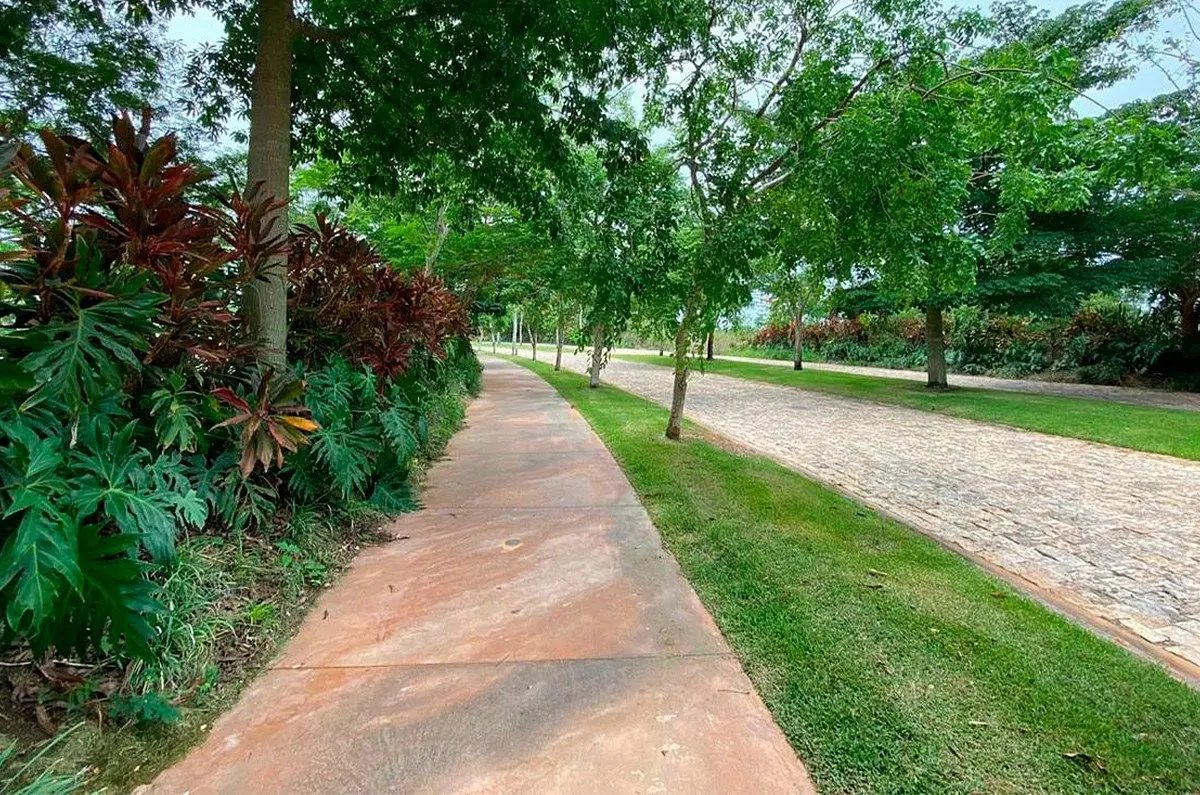 Terreno en Venta con Amenidades en Priv Frondeza, Cabo Norte — foto 6
