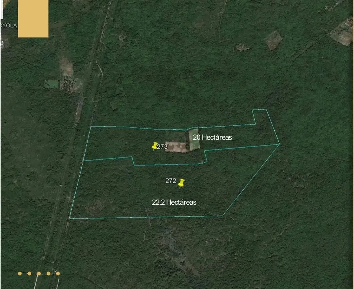 Lotes en Venta de Inversion en Kanasin — foto 4
