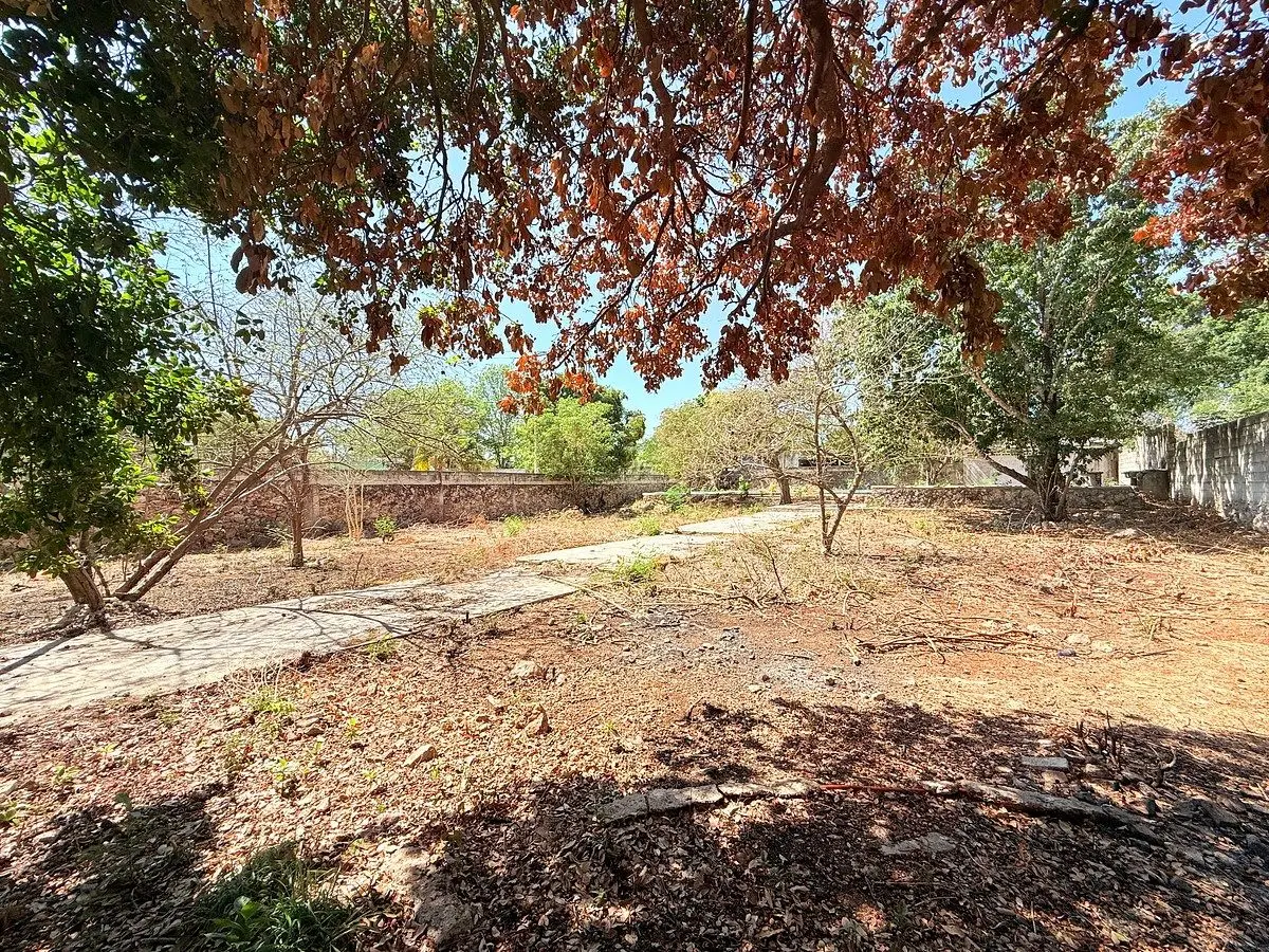 Terreno en Venta Ubicado en el Roble Agrícola — foto 3