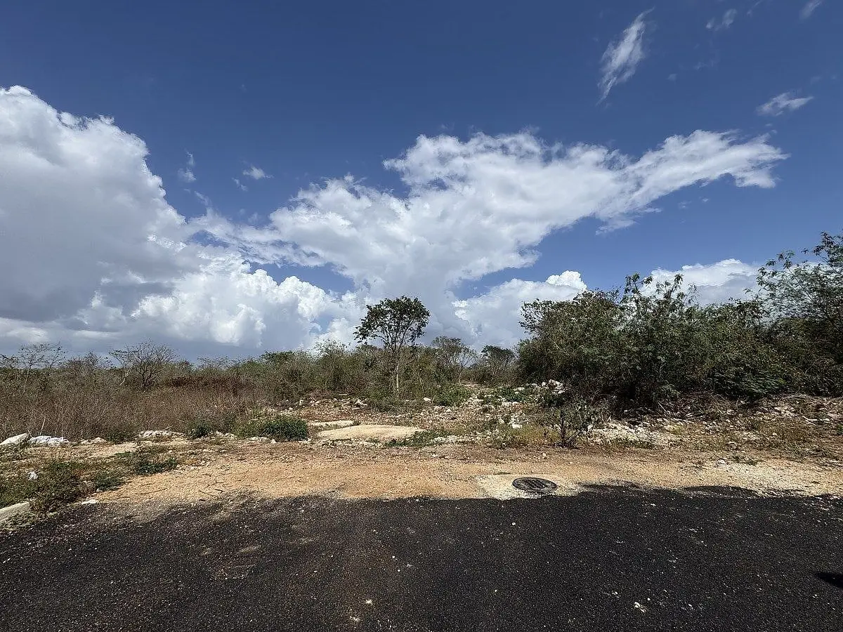 Terreno a Pocos Metros de la Carretera Cancún en Teya — foto 2