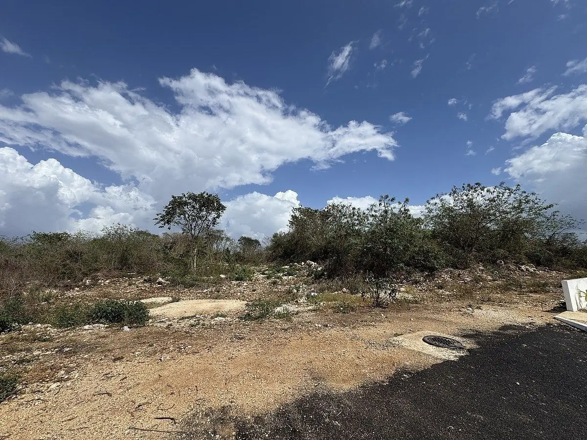 Terreno a Pocos Metros de la Carretera Cancún en Teya — foto 3