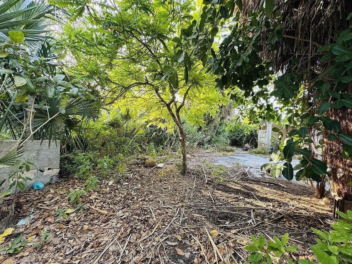 Casa de una Planta en Puerto Progreso Mérida Yucatán, con Gran Ubicación — foto 5
