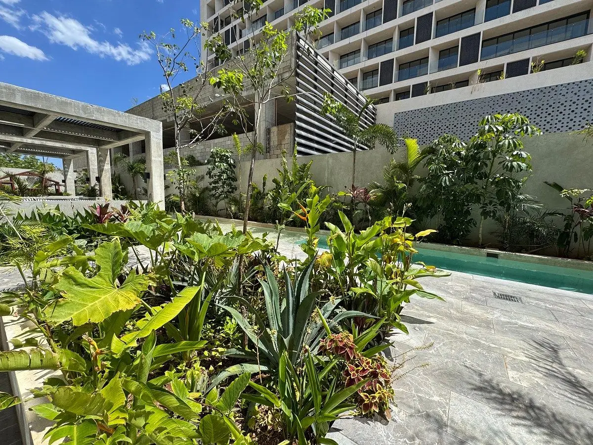 En Renta Departamento Cerca de la Isla y García Lavin Sin Muebles — foto 5