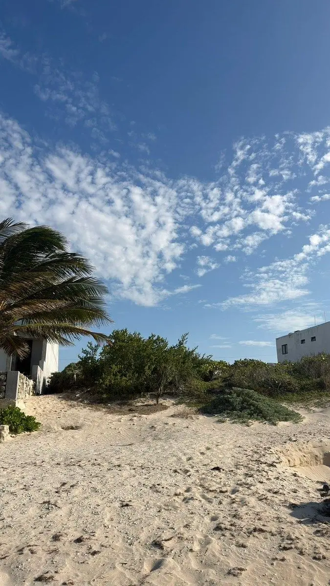 En Venta Terreno Frente al Mar en Chuburná Puerto Progreso Yucatán — foto 3