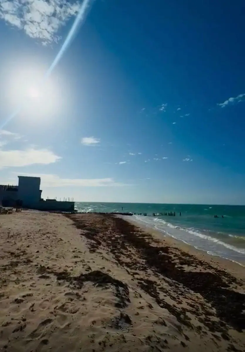 En Venta Terreno Frente al Mar en Chuburná Puerto Progreso Yucatán — foto 6