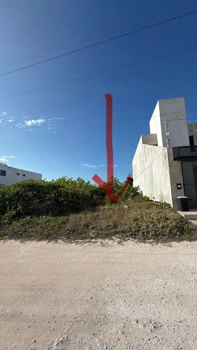 En Venta Terreno Frente al Mar de Yucatán en Chuburná Puerto Progreso — foto 4