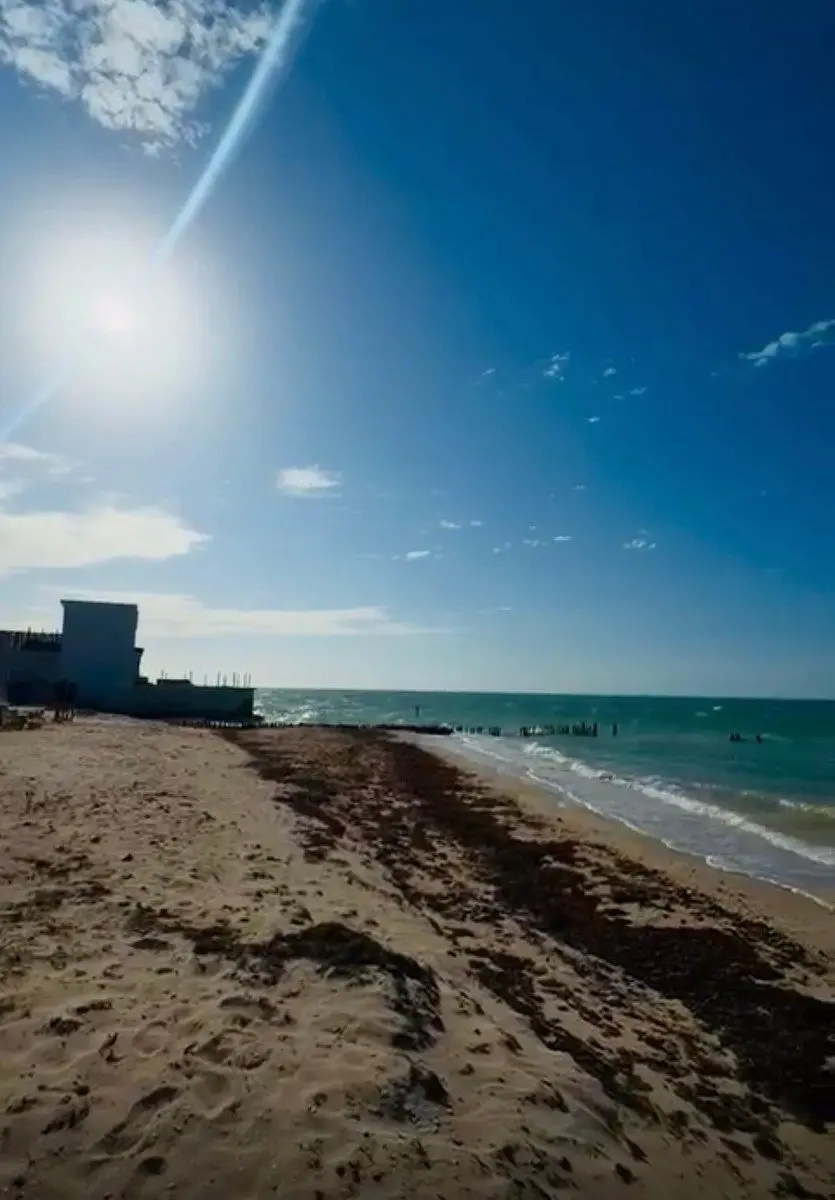 En Venta Terreno Frente al Mar de Yucatán en Chuburná Puerto Progreso — foto 6