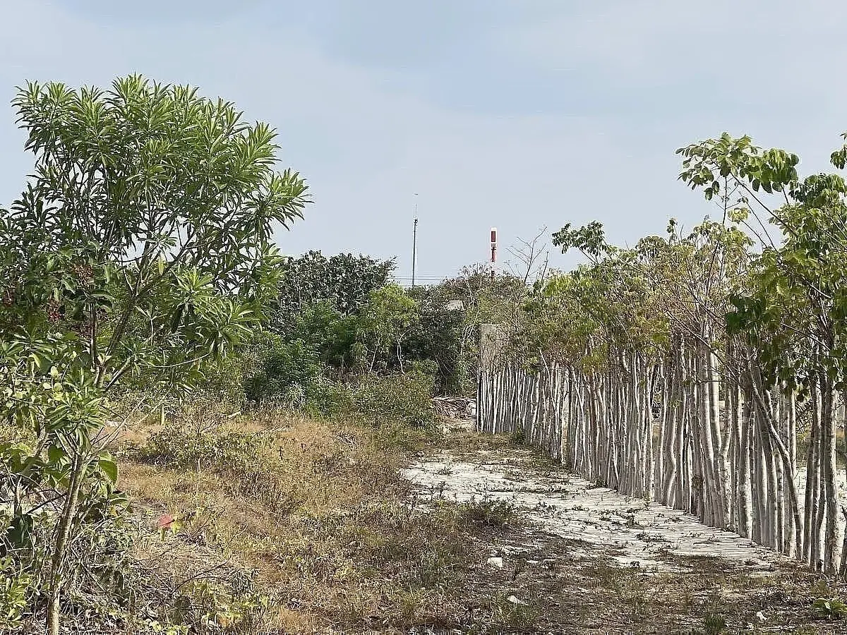 Terreno en la Playa de Chicxulub Puerto en Merida Yucatan — foto 6