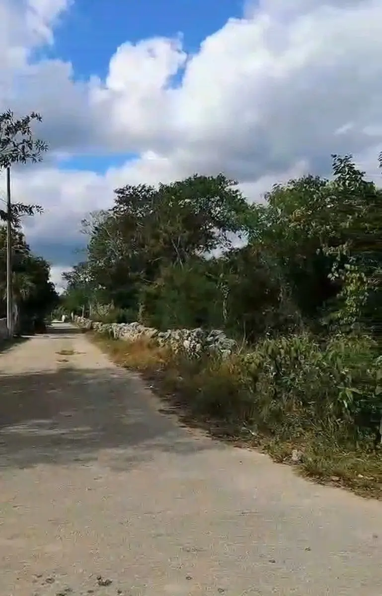 Terrenos en Venta en Nolo (Tixkokob) Yucatán — foto 3
