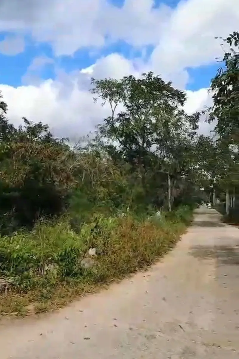 Terrenos en Venta en Nolo (Tixkokob) Yucatán — foto 4