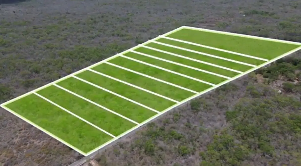 En Venta Macrolotes con Escrituracion Inmediata | Seyé, Yucatán |