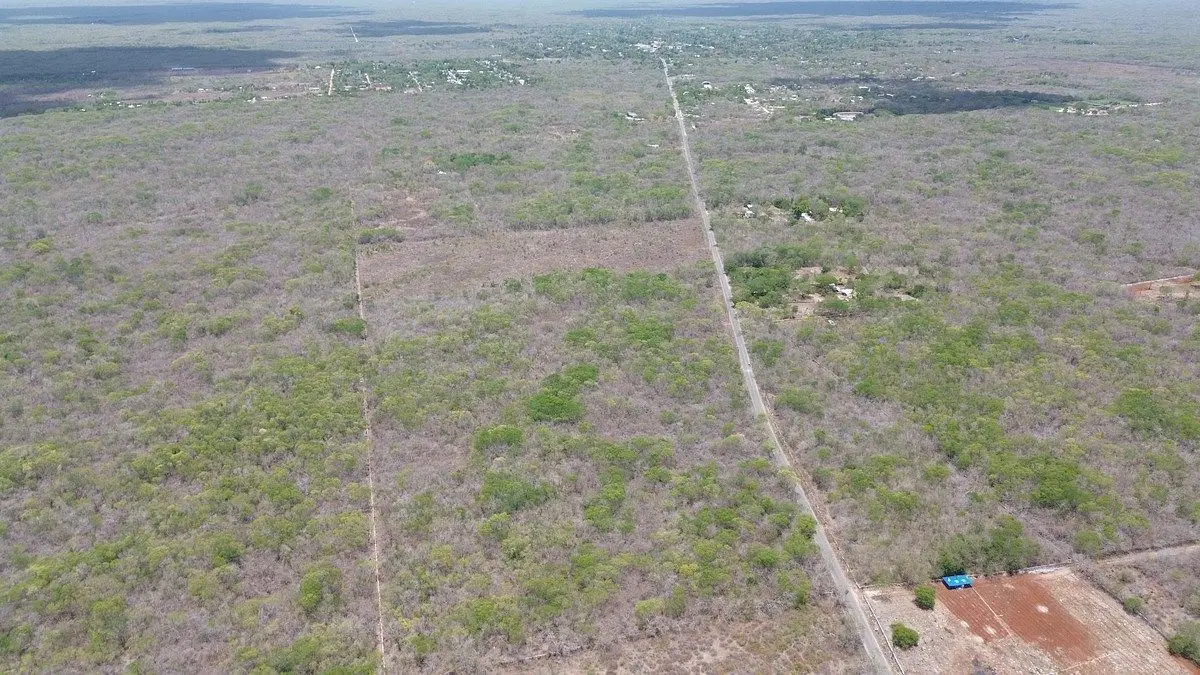 En Venta Macrolotes con Escrituracion Inmediata | Seyé, Yucatán | — foto 2