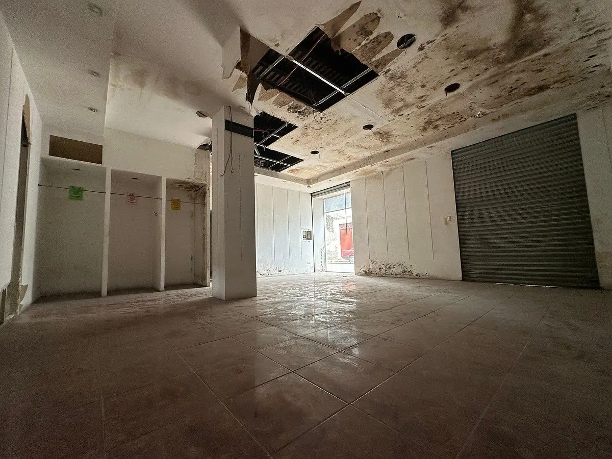 En Venta Casa en el Centro de Mérida — foto 6