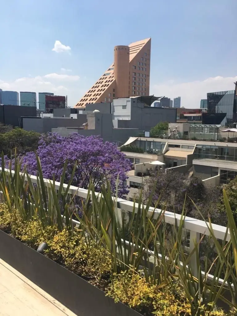 Departamento de lujo en Polanco con modernos acabados — foto 6