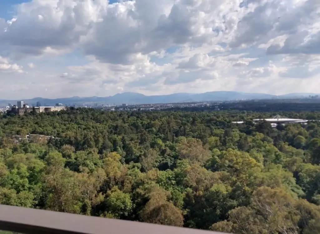 Espectacular departamento de 3 recámaras en Polanco — foto 5