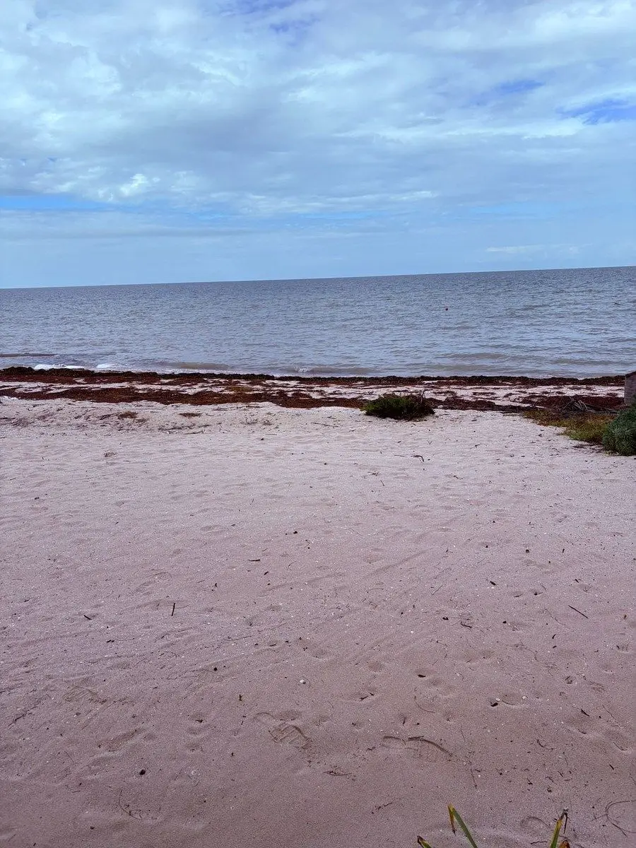 Venta de Terreno en Playa de San Benito en Yucatan — foto 2