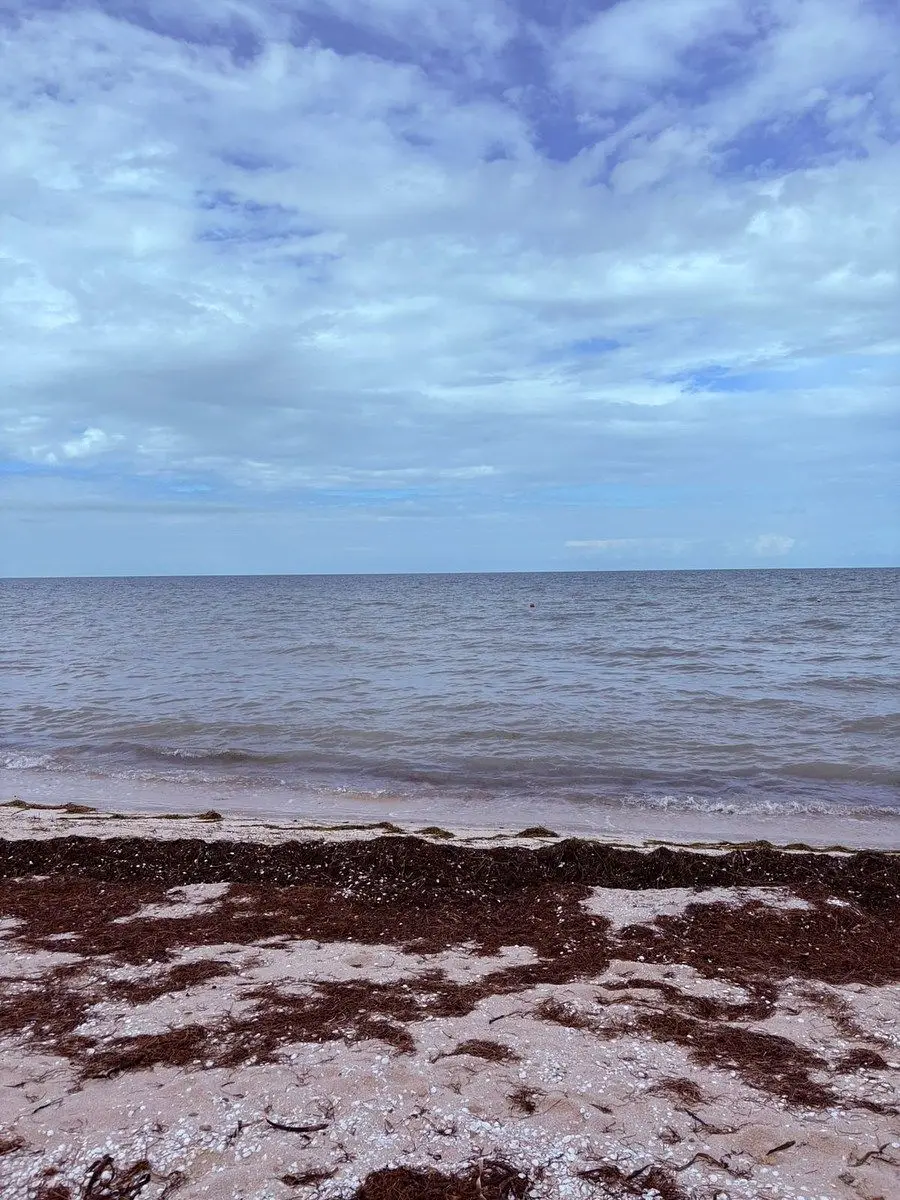 Venta de Terreno en Playa de San Benito en Yucatan — foto 4