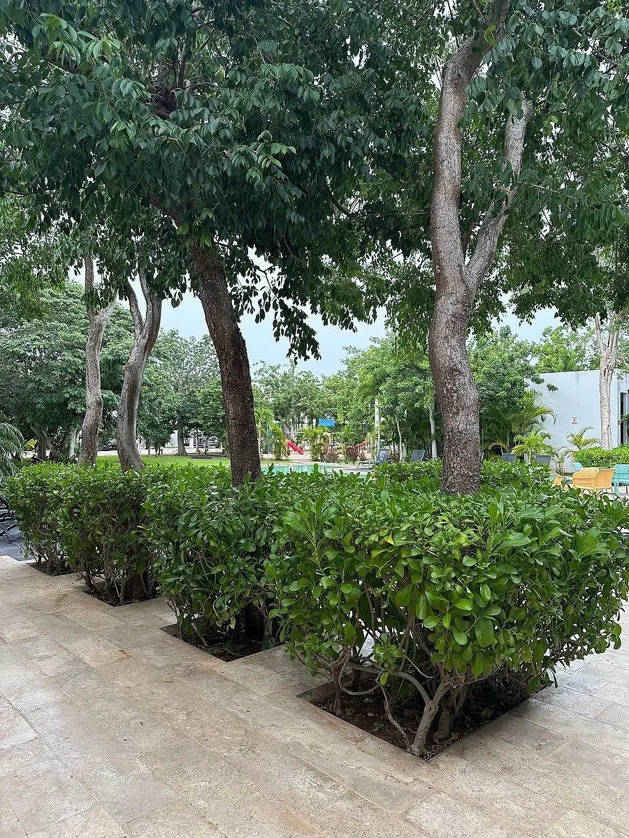 Lote Residencial en Privada con Amenidades en el Norte de Merida — foto 3