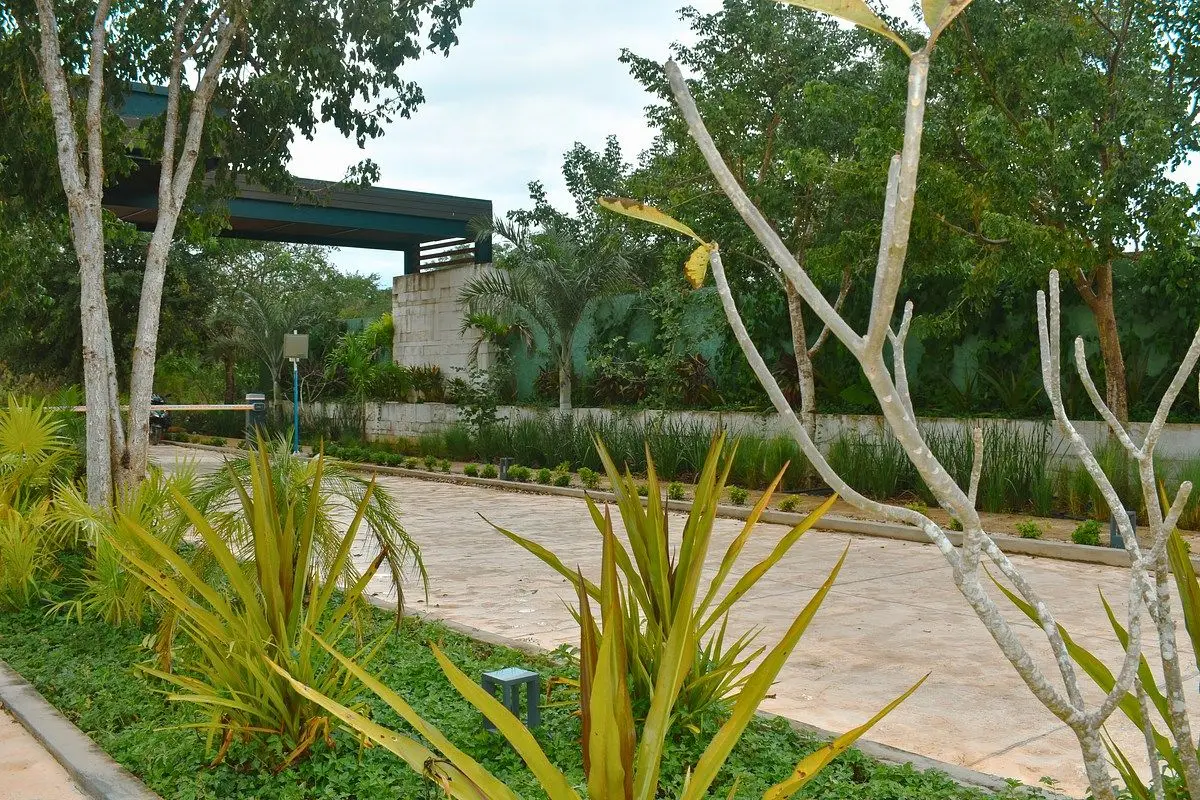 Venta de Lotes Residenciales en Privada con Amenidades en el Norte de Merida — foto 2