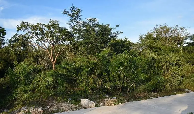 Terreno en Privada con Amenidades en el Norte de Merida