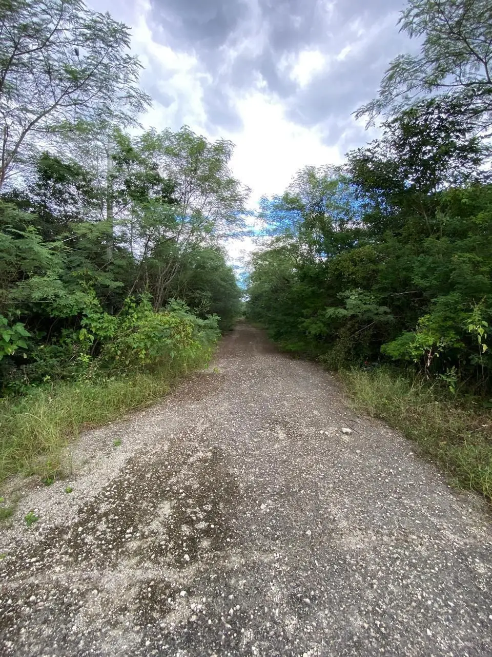 Inversion, Venta de Terreno en Komchen, Norte de Merida — foto 2