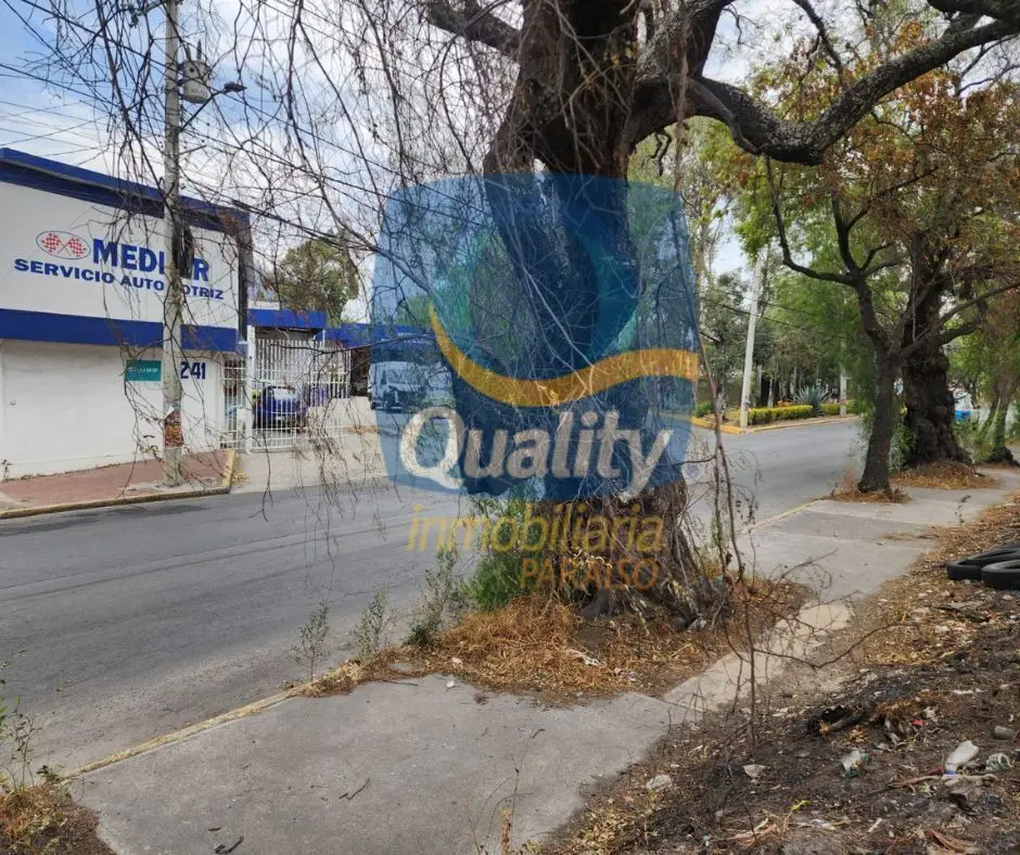 Terreno plano en La Noria con casi 50m de frente — foto 3